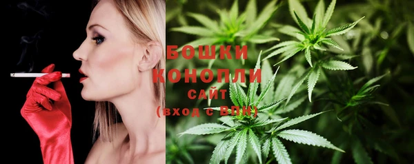 молекула духа Новодвинск