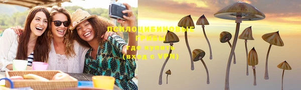 молекула духа Новодвинск