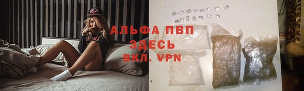 молекула духа Новодвинск