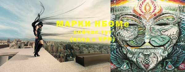 молекула духа Новодвинск